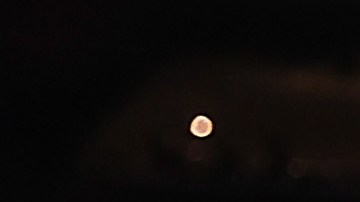 Steve Kerr discutiendo con un árbitro de la NBA.