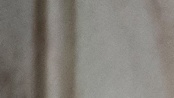 Milei asumirá el 10 de diciembre la Presidencia de Argentina, después de tener como bandera la dolarización.