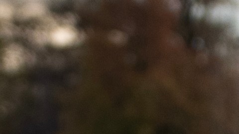 Santos fue expulsado del Senado a principios de este mes.