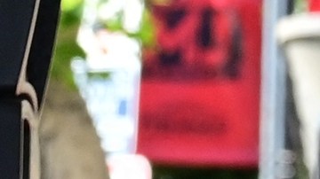 Macaulay Culkin posando junto a su estrella en Hollywood.