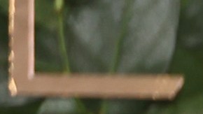 Bradley Cooper ha sido nominado a los Golden Globes como Mejor Actor y Mejor Director.