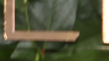 Bradley Cooper ha sido nominado a los Golden Globes como Mejor Actor y Mejor Director.