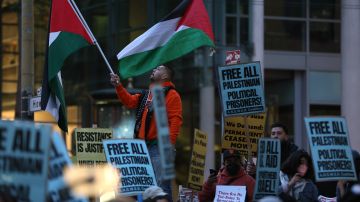 Activists In The U.S. Rally On International Day Of Solidarity With The Palestinian People