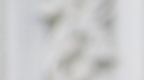 Santos aseguró que la Generación Z "ama" a Trump.