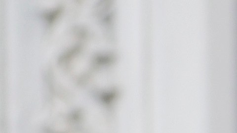 Santos aseguró que la Generación Z "ama" a Trump.