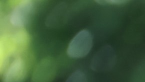 Macaulay Culkin hablando durante el evento de revelación de su estrella.