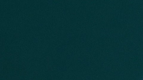 enfatizó que no debe haber reubicación forzada de palestinos ni modificación de las fronteras de la Franja.