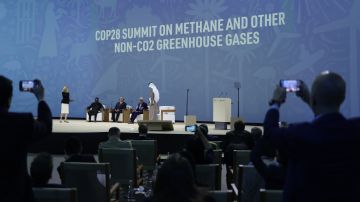 La COP28, que se llevará a cabo del 30 de noviembre al 12 de diciembre, reúne a partes interesadas, incluidos jefes de estado internacionales y otros líderes, científicos, ambientalistas, representantes de pueblos indígenas, activistas y otros para discutir y acordar la implementación de medidas globales para mitigar el efectos del cambio climático.