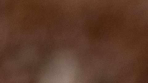 Además de la Casa Blanca, otros políticos, demócratas y republicanos, condenaron el ataque.