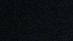 Max Verstappen aprovechó sus vacaciones en Brasil para pasarse de F1 al karting