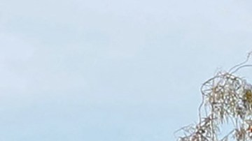 Tiroteo en Universidad de Nevada, en Las Vegas