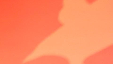 Alfonso Herrera participando en la alfombra roja de Rebel Moon en México.