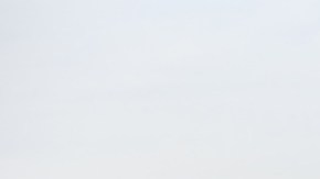 EE.UU. aprobó posible venta a Israel de municiones valoradas en más de $106,5 millones de dólares