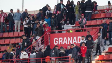 Esposa de hincha fallecido en el Granada-Athletic: "No sé si pudo haberse evitado de actuar más rápido"