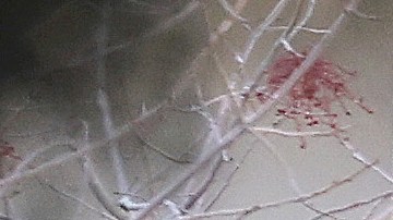 Tiroteo en Universidad de Nevada