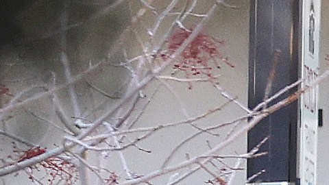 Tiroteo en Universidad de Nevada