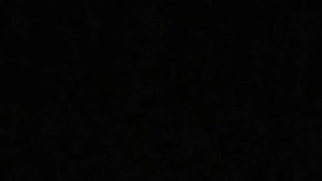 Tras asumir la Presidencia de Argentina: Javier Milei sorteó su último sueldo como diputado