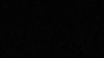 Tras asumir la Presidencia de Argentina: Javier Milei sorteó su último sueldo como diputado