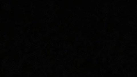 Javier Milei visiblemente emocionado tomó juramento a su inseparable hermana, Karina, quien será su secretaria general de la presidencia.