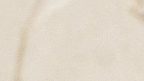 Zelensky reiteró a EE.UU. urgencia de más ayuda para Ucrania: “Esperamos contar con ustedes”