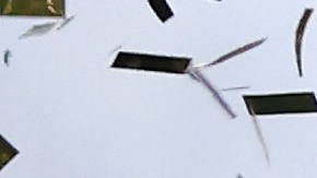 Columbus Crew destronó a LAFC para convertirse en el nuevo Campeón de la MLS