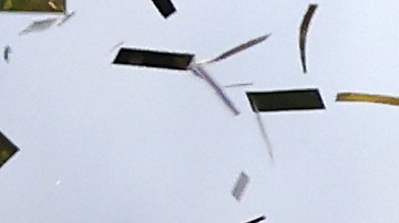 Columbus Crew destronó a LAFC para convertirse en el nuevo Campeón de la MLS