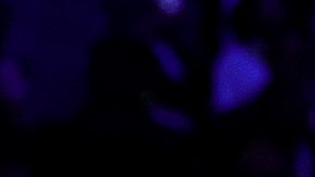 LeBron James levanta el trofeo de la NBA In-Season Tournament.