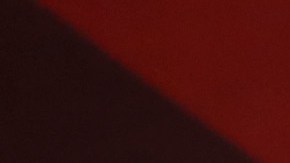 Timothée Chalamet posando en una alfombra roja.