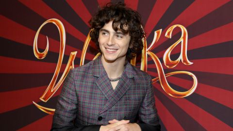 Timothée Chalamet posando en una alfombra roja.