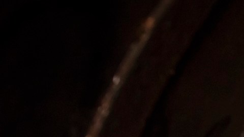 Fuerzas de Defensa de Israel descubrieron el mayor túnel terrorista de Hamás en Gaza: así es por dentro