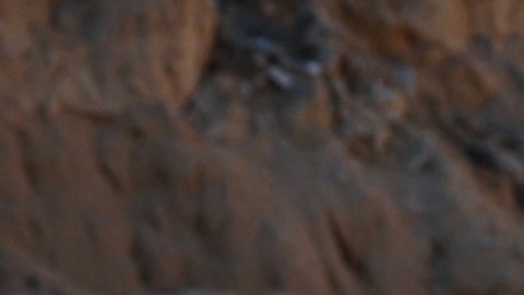 Hagari reiteró que Israel no está restringiendo la cantidad de ayuda humanitaria que puede ingresar a Gaza.