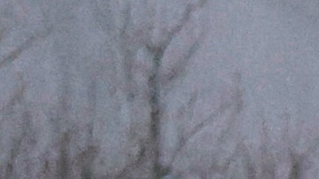 Large Storm Moves Up East Coast Causing Widespread Flooding