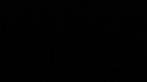 Donald Trump acusó a Joe Biden de permitir entrada de “millones de migrantes” a EE.UU. para que voten