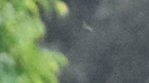 MEXICO-US-MIGRATION-CARAVAN