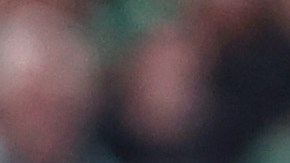 El jugador de los Eagles logró imponer un nuevo récord de más touchdowns por tierra en una temporada.