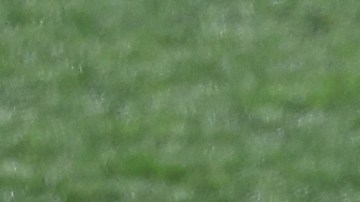 Carlo Ancelotti siente gran respaldo por parte de sus jugadores en el Real Madrid.