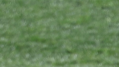 Carlo Ancelotti siente gran respaldo por parte de sus jugadores en el Real Madrid.