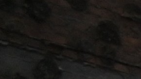 Rusia atacó ciudad en Ucrania en venganza por el bombardeo que dejó más de 20 muertos en Bélgorod