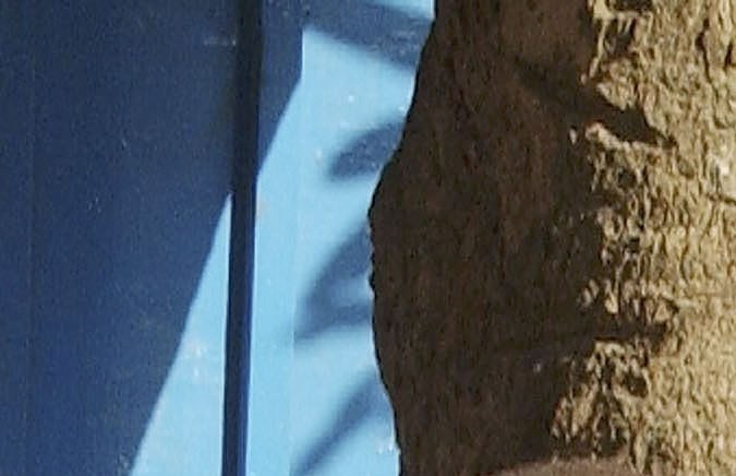 Refugiados de la República Democrática del Congo. (Foto de Spencer Platt/Getty Images)