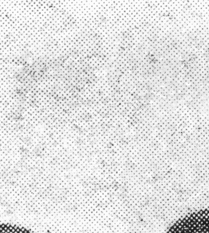 Tregua de Navidad. (Foto: Hulton Archive/Getty Images)