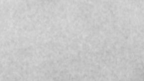 Walt Disney siendo fotografiado en 1953.