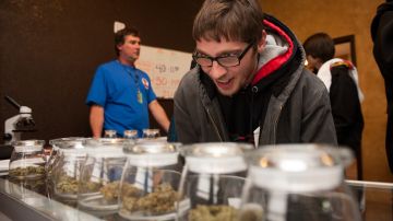 Los habitantes de Ohio votaron a favor de la legalización de la marihuana.