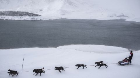 La máquina de nieve chocó con los perros de trineo