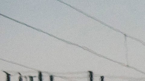 La crisis se agudizó desde abril de 2022, cuando el gobernador republicano de Texas, Greg Abbott, comenzó a enviar autobuses llenos de inmigrantes.
