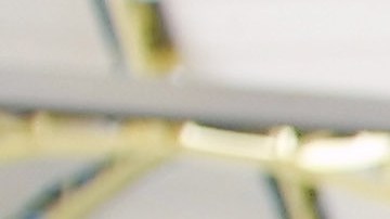 Comida para mascotas