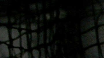 Abreu, Beltrán, Beltré, Ortiz y Manny Ramírez exaltados al Salón de la Fama del Béisbol Latino