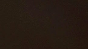 Un nuevo ataque fatal de tiburón en Australia.