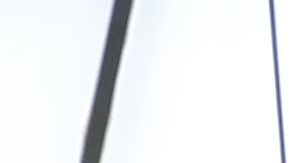 Los pliosauroideos son un suborden extinto de saurópsidos plesiosaurios que vivieron desde el Triásico Superior hasta el Cretácico Superior.