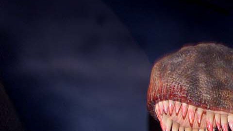 El fósil revela que probablemente cazaron dinosaurios más pequeños.