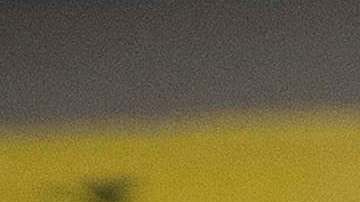 La industria armamentística usa "el miedo y la desinformación" basándose en la "falsa creencia" de que si tienes un arma disponible estás más seguro.